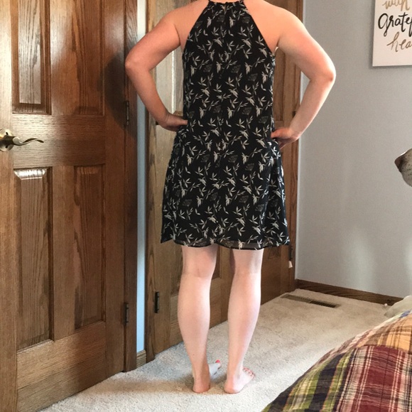 Loft dress!!! - Picture 2 of 4